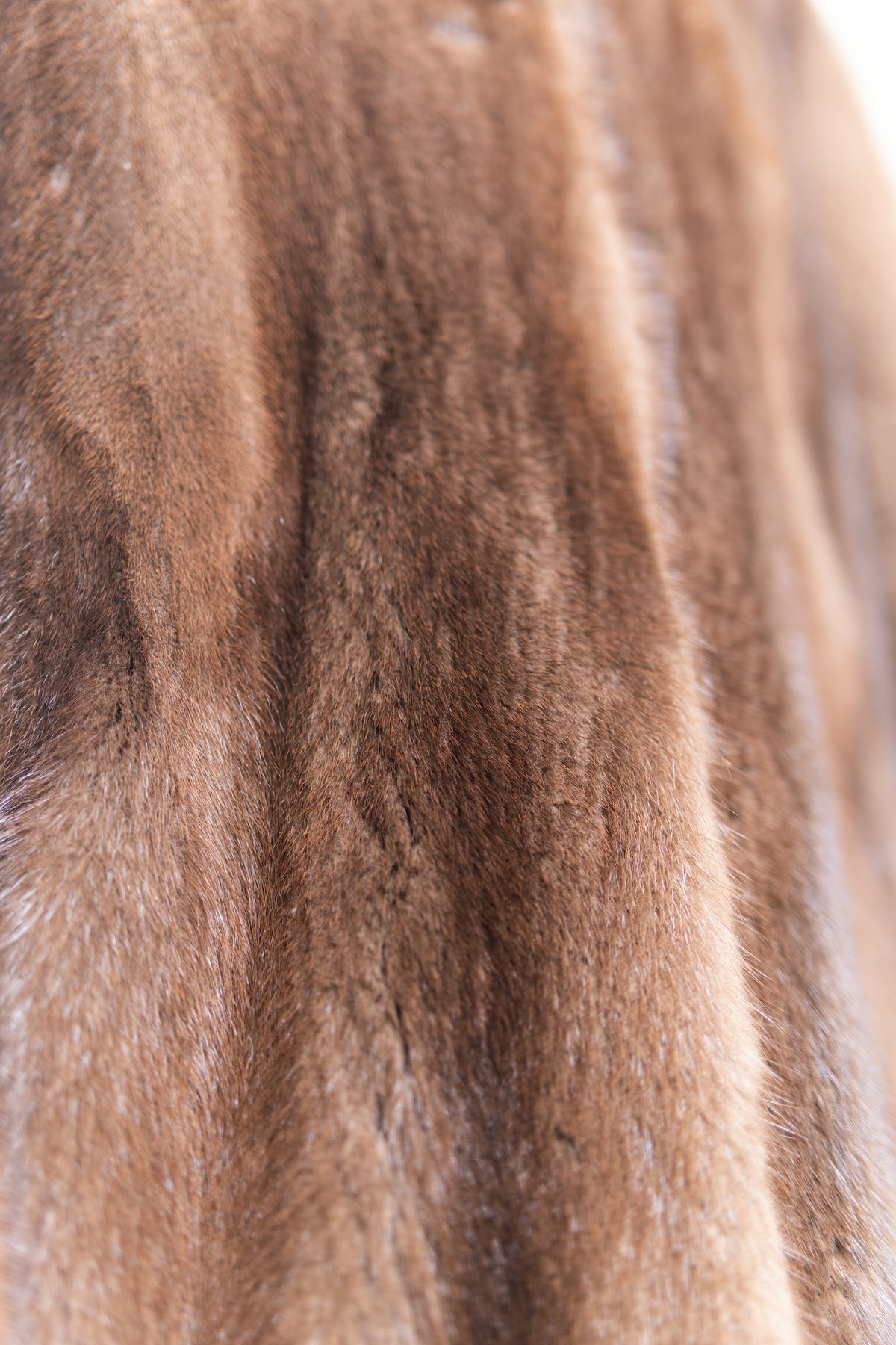 The Full-Length Mink Coat